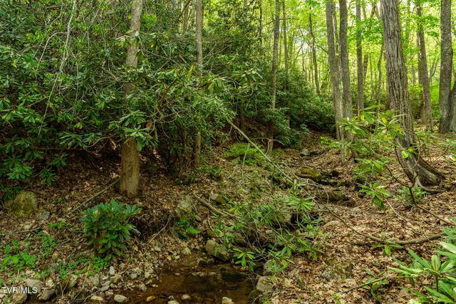 151 Stonebridge Lane, Mountain City, TN 37683