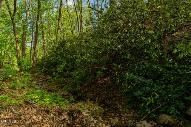 151 Stonebridge Lane, Mountain City, TN 37683