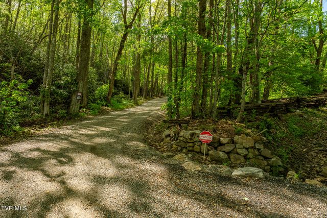 151 Stonebridge Lane, Mountain City, TN 37683