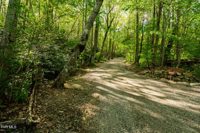 151 Stonebridge Lane, Mountain City, TN 37683