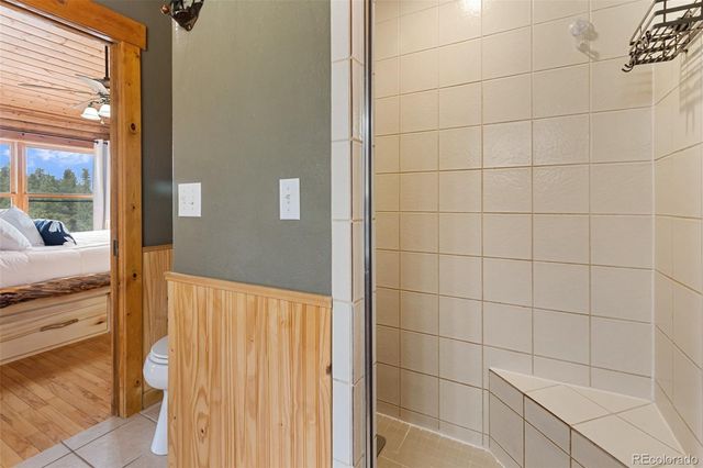 918 Douglas Fir Drive, Woodland Park, CO 80863