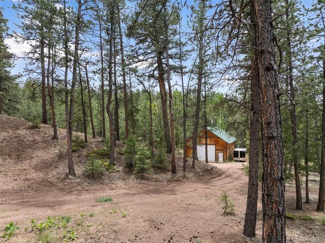 918 Douglas Fir Drive, Woodland Park, CO 80863