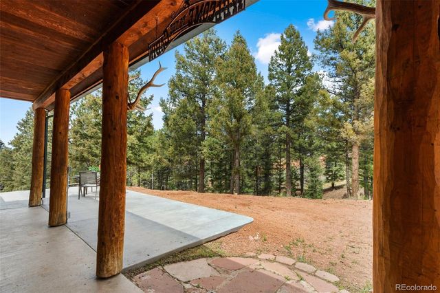 918 Douglas Fir Drive, Woodland Park, CO 80863