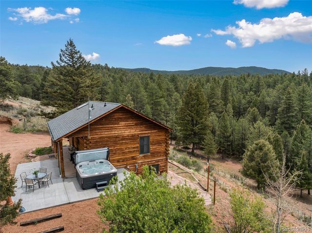 918 Douglas Fir Drive, Woodland Park, CO 80863
