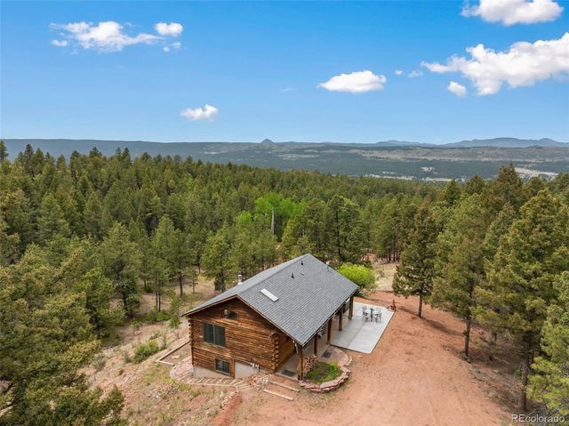918 Douglas Fir Drive, Woodland Park, CO 80863