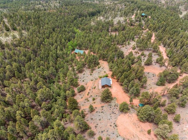 918 Douglas Fir Drive, Woodland Park, CO 80863