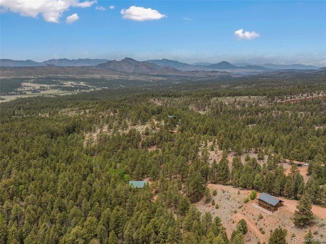 918 Douglas Fir Drive, Woodland Park, CO 80863
