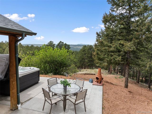 918 Douglas Fir Drive, Woodland Park, CO 80863