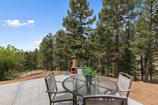 918 Douglas Fir Drive, Woodland Park, CO 80863