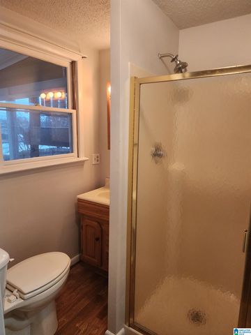 648 COVES POINT DRIVE, Riverside, AL 35135