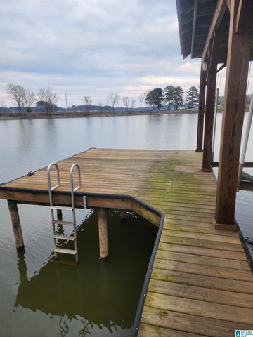 648 COVES POINT DRIVE, Riverside, AL 35135