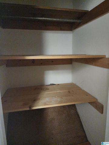 648 COVES POINT DRIVE, Riverside, AL 35135