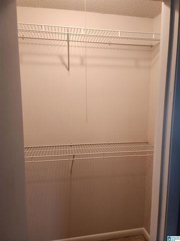 648 COVES POINT DRIVE, Riverside, AL 35135