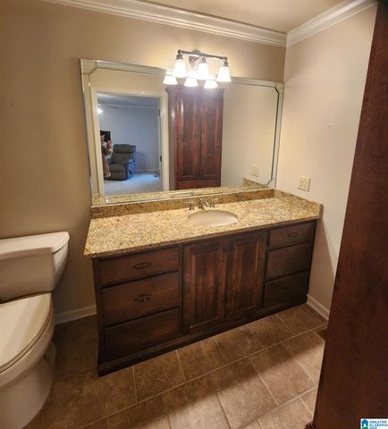 648 COVES POINT DRIVE, Riverside, AL 35135