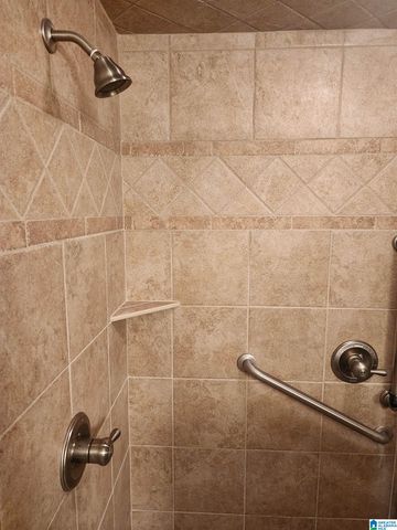 648 COVES POINT DRIVE, Riverside, AL 35135