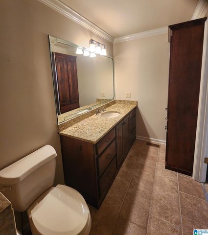 648 COVES POINT DRIVE, Riverside, AL 35135