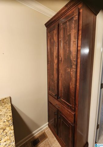 648 COVES POINT DRIVE, Riverside, AL 35135