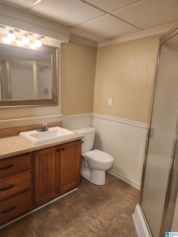 648 COVES POINT DRIVE, Riverside, AL 35135