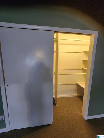 648 COVES POINT DRIVE, Riverside, AL 35135