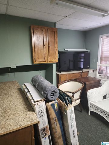 648 COVES POINT DRIVE, Riverside, AL 35135