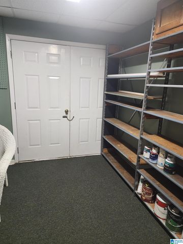 648 COVES POINT DRIVE, Riverside, AL 35135