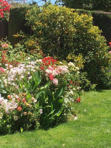 1202 Lillian Ave, San Leandro, CA 94578