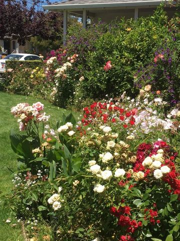 1202 Lillian Ave, San Leandro, CA 94578