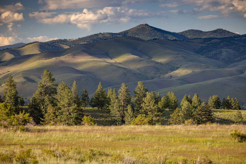 8337 Lamar Trail, Lolo, MT 59847 photo 10