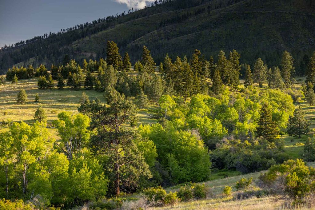 8337 Lamar Trail, Lolo, MT 59847 photo 11