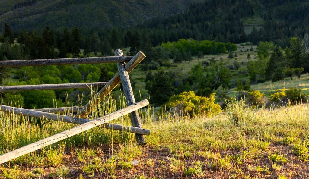 8337 Lamar Trail, Lolo, MT 59847 photo 12