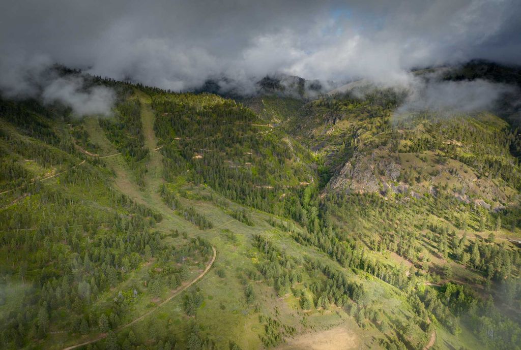 8337 Lamar Trail, Lolo, MT 59847 photo 14