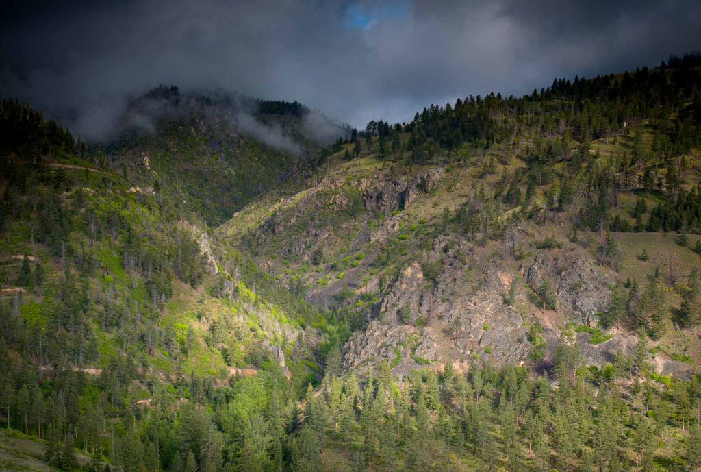 8337 Lamar Trail, Lolo, MT 59847 photo 15