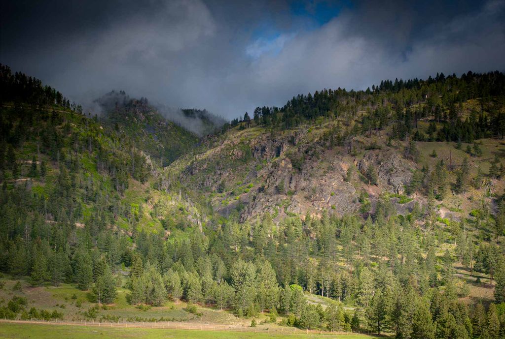 8337 Lamar Trail, Lolo, MT 59847 photo 16