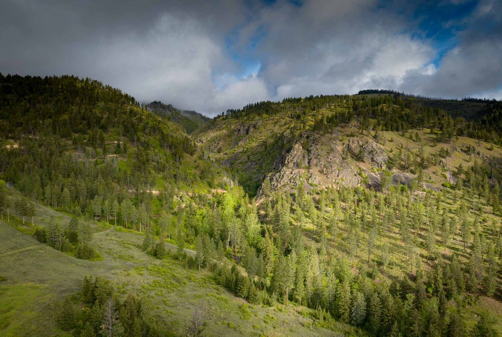 8337 Lamar Trail, Lolo, MT 59847 photo 17