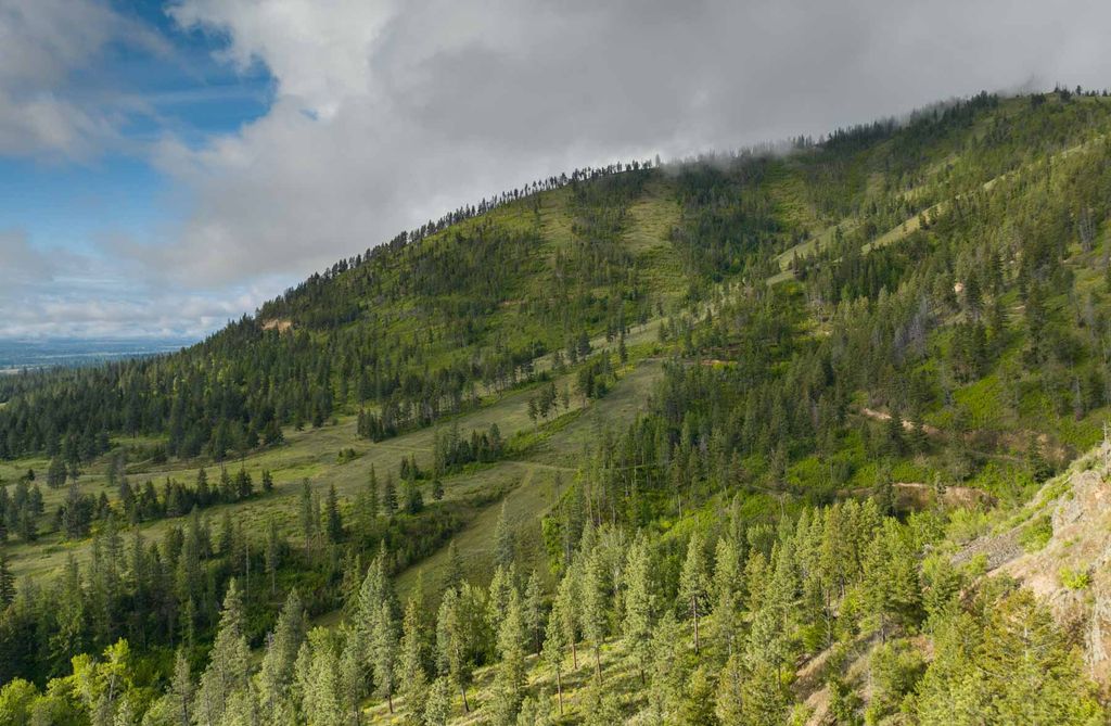 8337 Lamar Trail, Lolo, MT 59847 photo 18