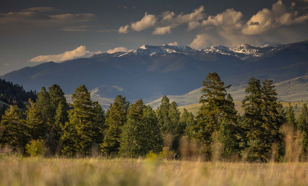 8337 Lamar Trail, Lolo, MT 59847 photo 2