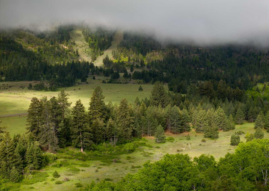 8337 Lamar Trail, Lolo, MT 59847 photo 22