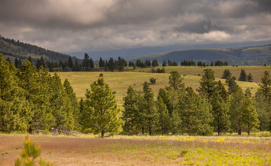 8337 Lamar Trail, Lolo, MT 59847 photo 24