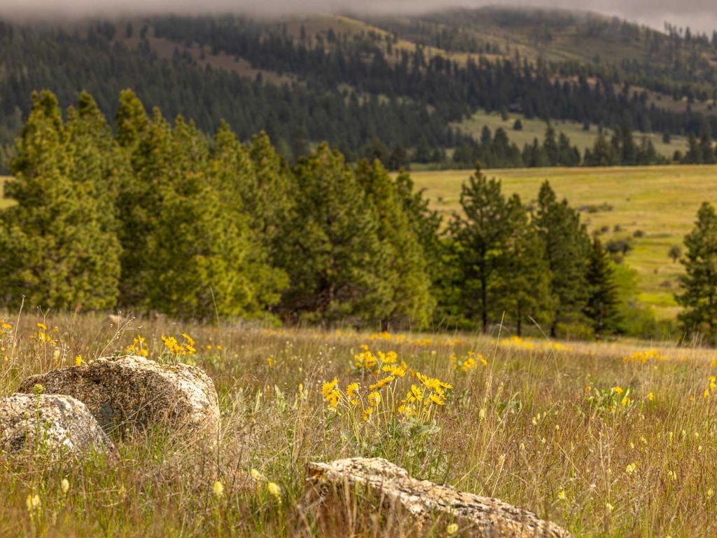 8337 Lamar Trail, Lolo, MT 59847 photo 25