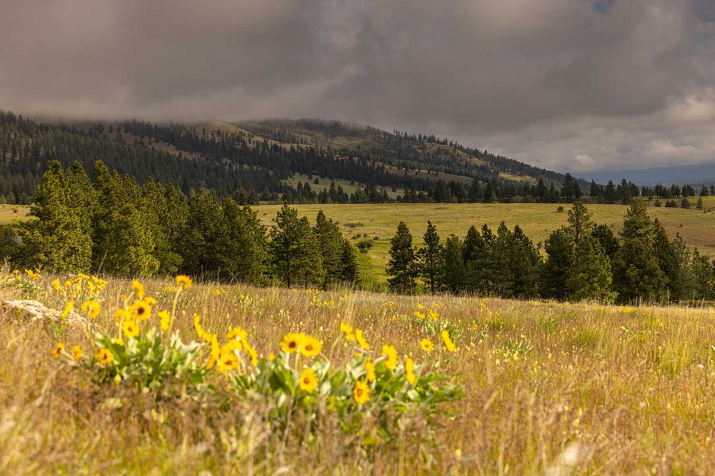 8337 Lamar Trail, Lolo, MT 59847 photo 26