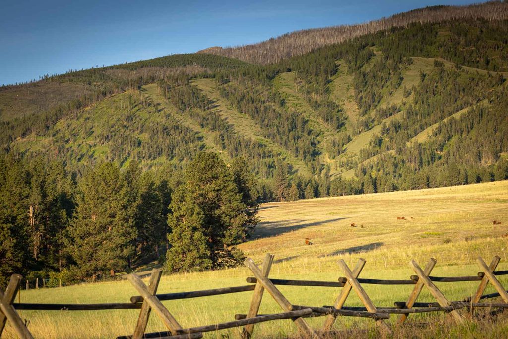 8337 Lamar Trail, Lolo, MT 59847 photo 29