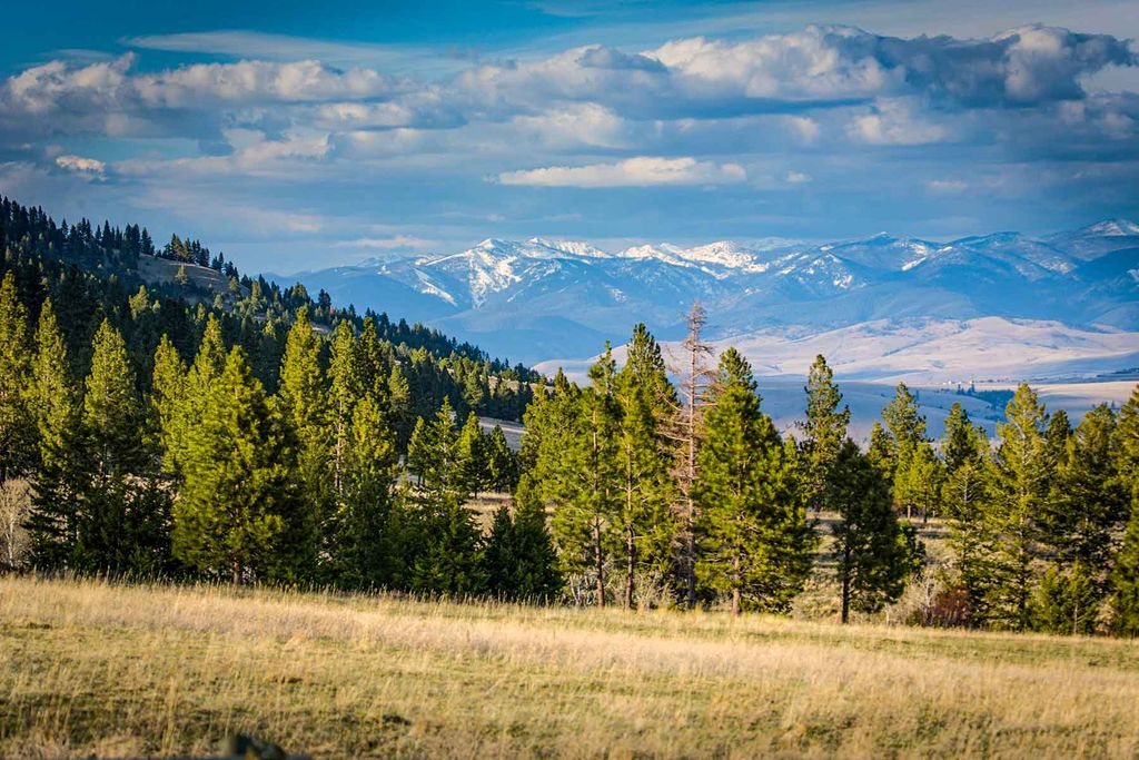 8337 Lamar Trail, Lolo, MT 59847 photo 35