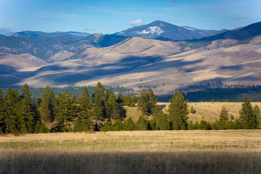 8337 Lamar Trail, Lolo, MT 59847 photo 37