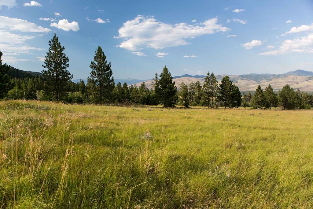 8337 Lamar Trail, Lolo, MT 59847 photo 43