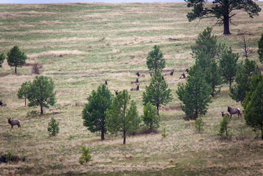 8337 Lamar Trail, Lolo, MT 59847 photo 47