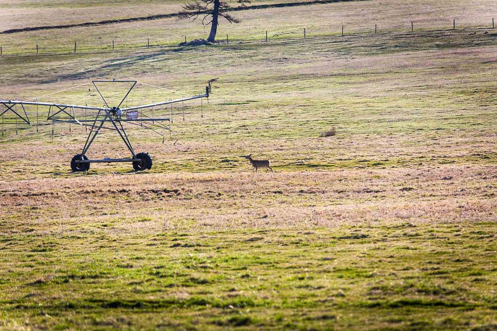 8337 Lamar Trail, Lolo, MT 59847 photo 49