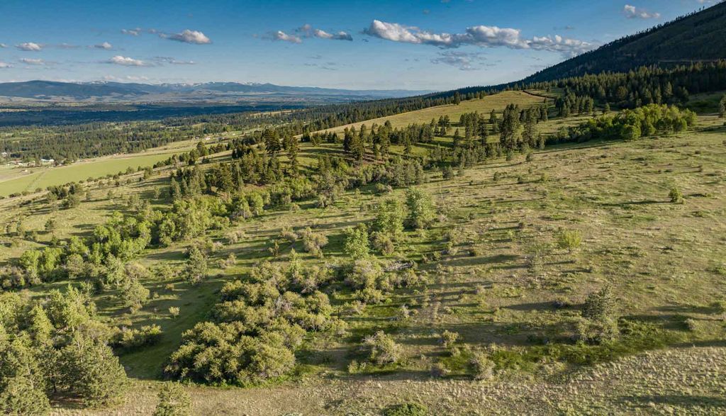 8337 Lamar Trail, Lolo, MT 59847 photo 5