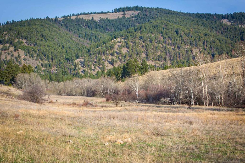 8337 Lamar Trail, Lolo, MT 59847 photo 50