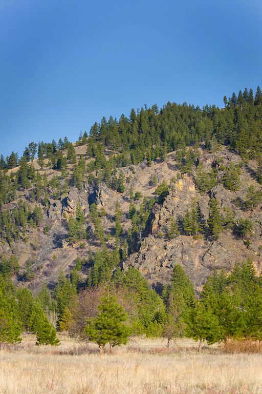 8337 Lamar Trail, Lolo, MT 59847 photo 53