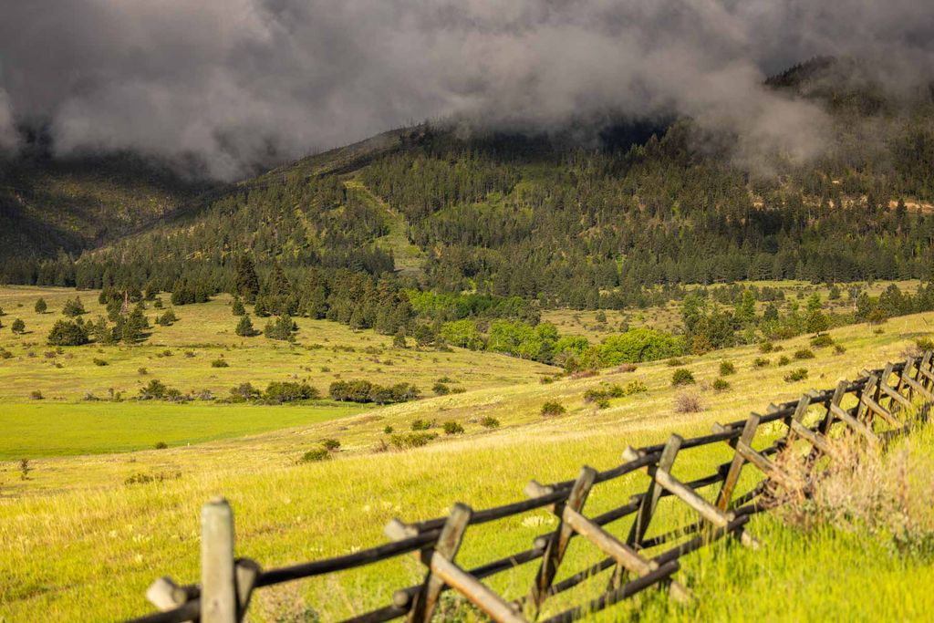 8337 Lamar Trail, Lolo, MT 59847 photo 6